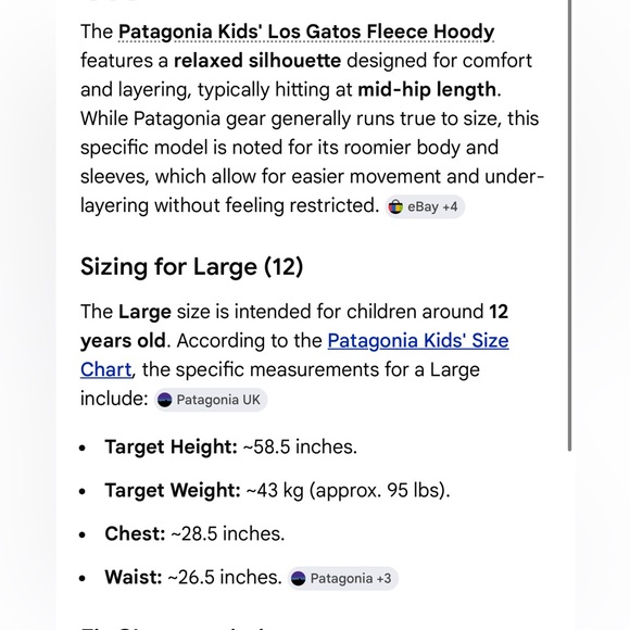 Patagonia Kids Unisex Los Gatos Hoody - Picture 12 of 12